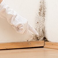 Schimmelbildung vermeiden