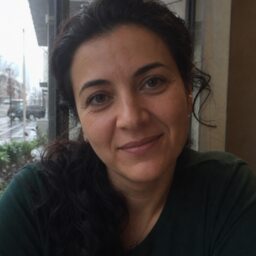 Emi Plaku